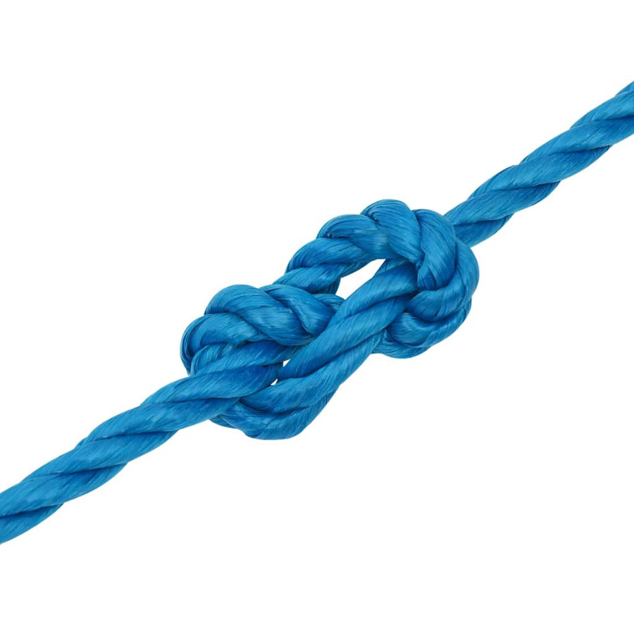 Werktouw 10 mm 25 m polypropeen blauw 10 mm 25 m