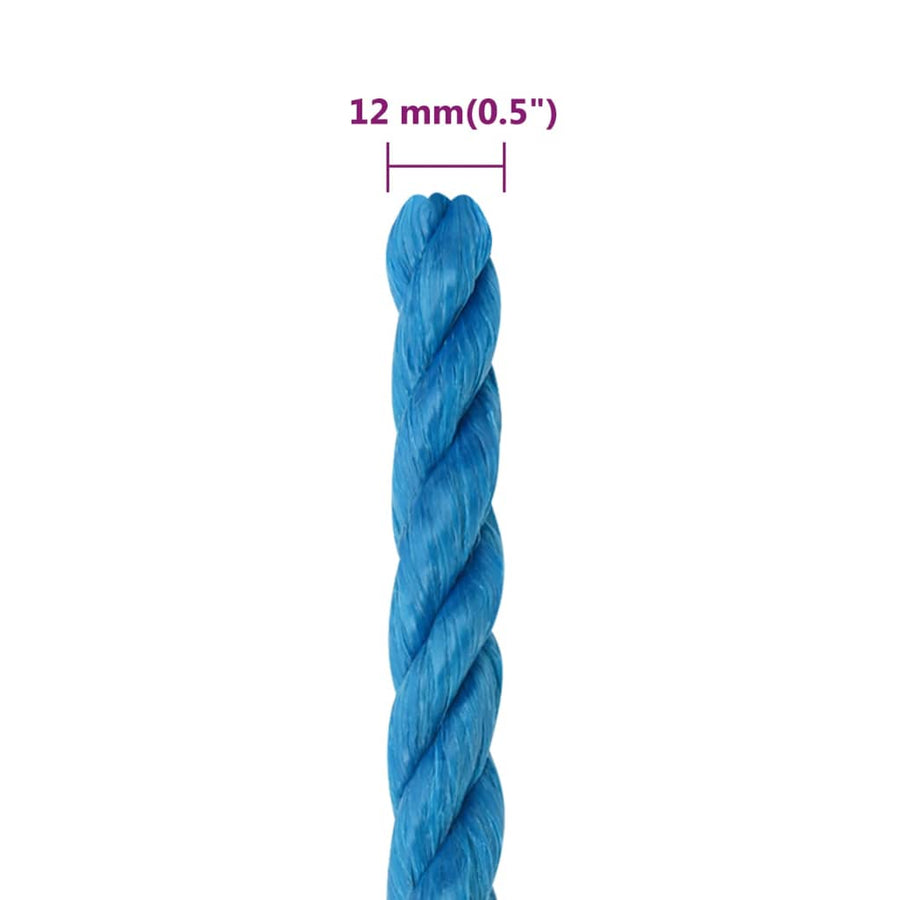 Werktouw 12 mm 50 m polypropeen blauw 12 mm 50 m
