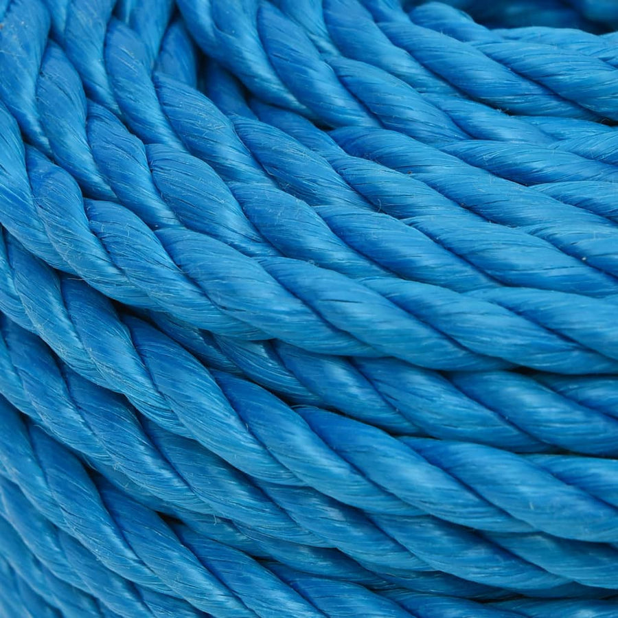 Werktouw 20 Mm 100 M Polypropeen Blauw