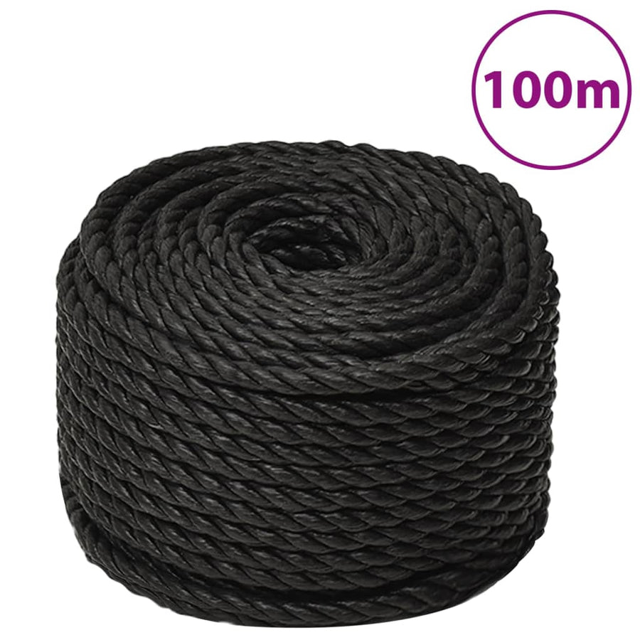 Werktouw 12 Mm 100 M Polypropeen Zwart