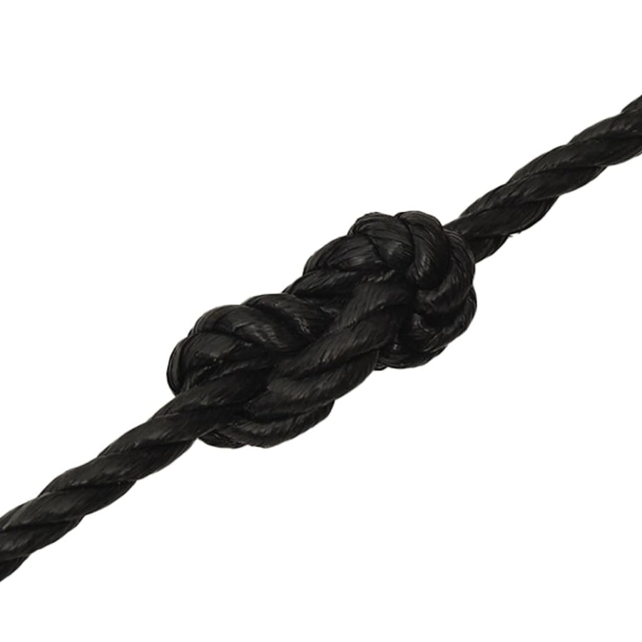 Werktouw 12 Mm 100 M Polypropeen Zwart