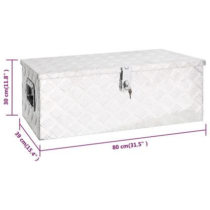 Opbergbox Aluminium Kleurig 80 x 39 x 30 cm Zilver