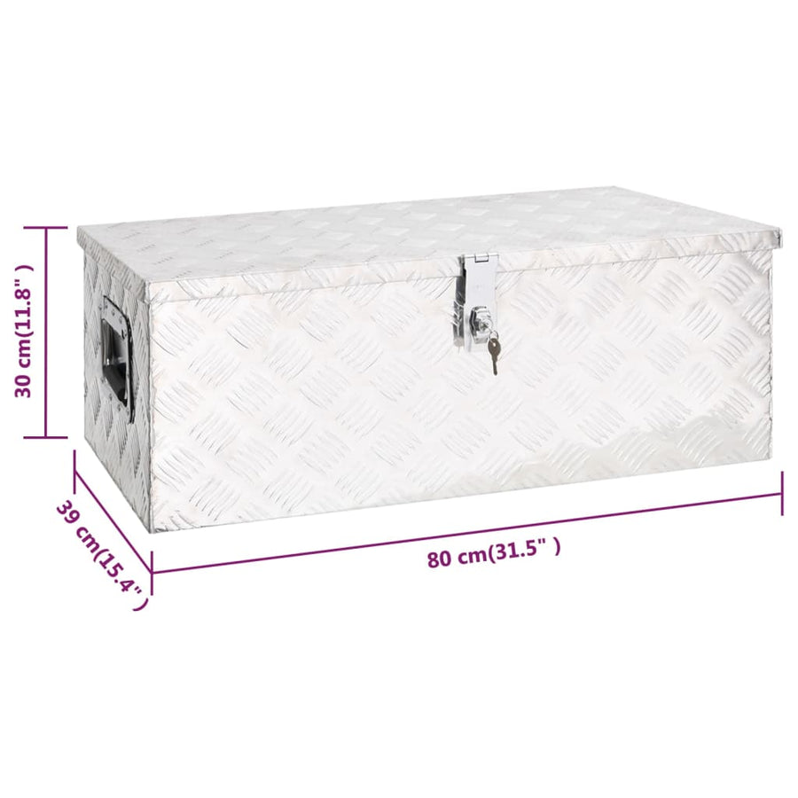 Opbergbox Aluminium Kleurig 80 x 39 x 30 cm Zilver