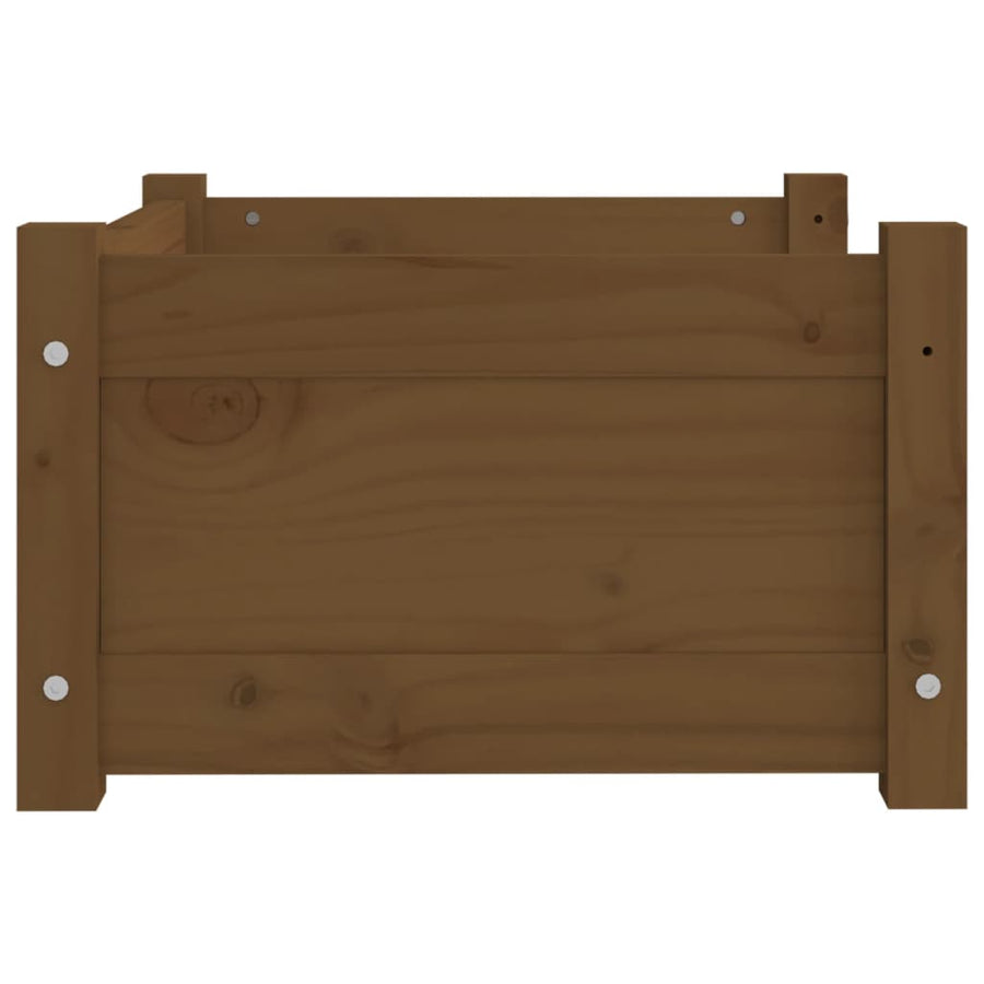 Hondenmand 55,5x45,5x28 cm massief grenenhout honingbruin 55.5 x 45.5 x 28 cm Honingbruin