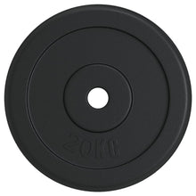 Halterschijf 20 Kg Gietijzer 1x 20 kg