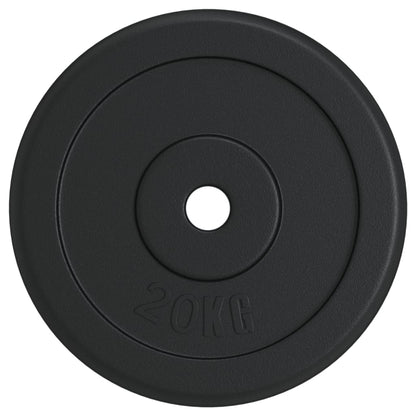 Halterschijf 20 Kg Gietijzer 1x 20 kg