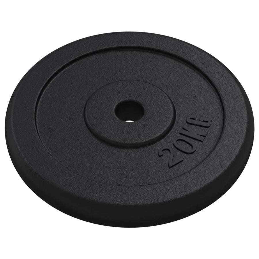Halterschijf 20 Kg Gietijzer 1x 20 kg