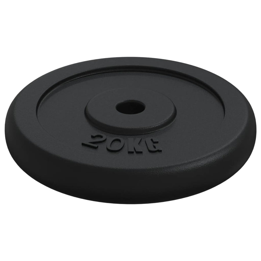 Halterschijf 20 Kg Gietijzer 1x 20 kg
