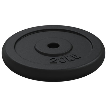 Halterschijf 20 Kg Gietijzer 1x 20 kg