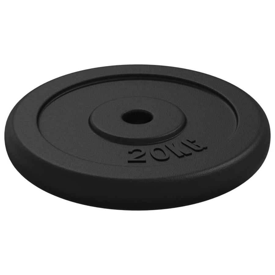 Halterschijf 20 Kg Gietijzer 1x 20 kg