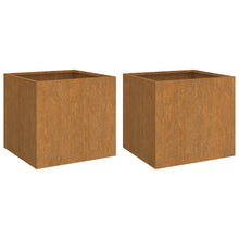 Plantenbakken Cortenstaal 2 49 x 47 x 46 cm