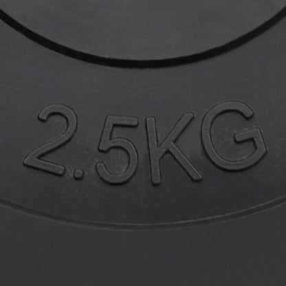 Halterschijven 6 St 30 Kg Cement 2x 2.5 kg + 2x 5 kg + 2x 7.5 kg