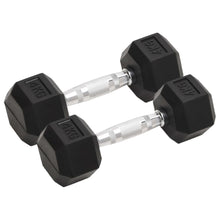 Halters 2 St 8 Kg Gietijzer 2x 4 kg