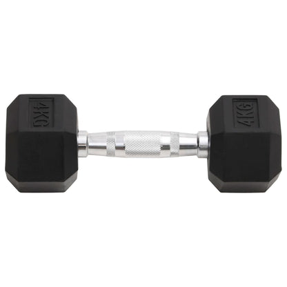Halters 2 St 8 Kg Gietijzer 2x 4 kg