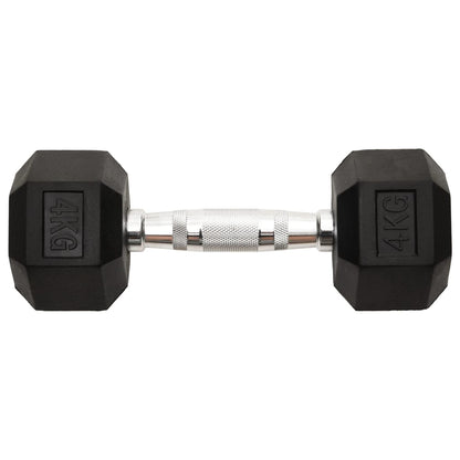 Halters 2 St 8 Kg Gietijzer 2x 4 kg