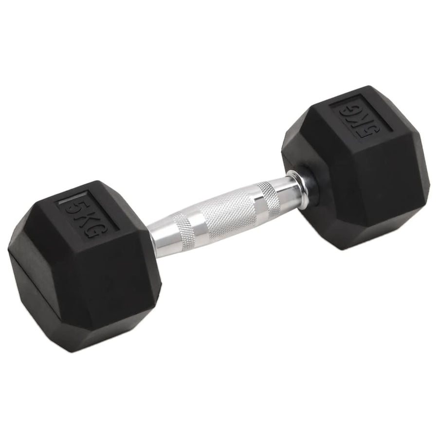 Halters 2 St 10 Kg Gietijzer 2x 5 kg