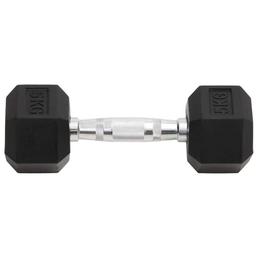 Halters 2 St 10 Kg Gietijzer 2x 5 kg