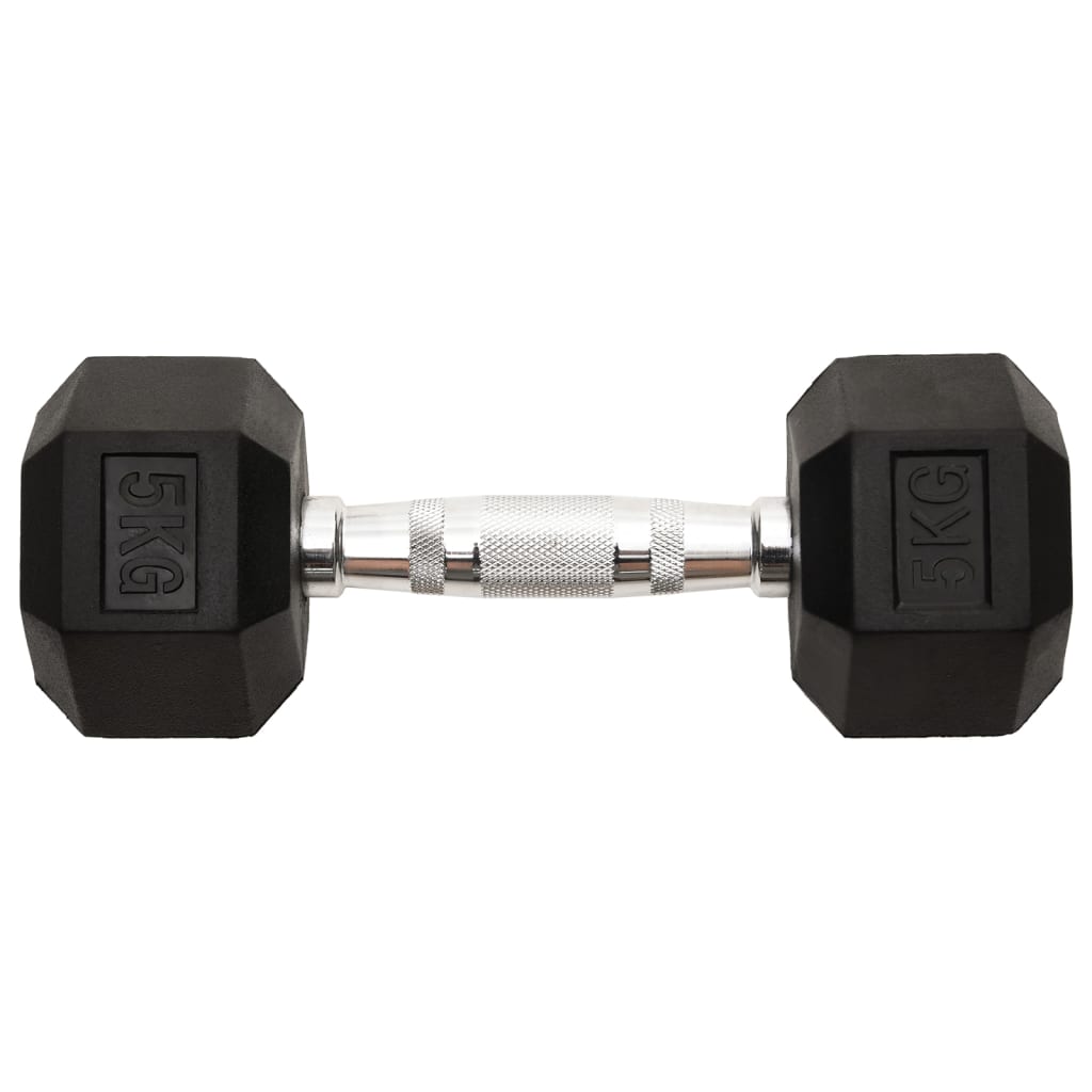 Halters 2 St 10 Kg Gietijzer 2x 5 kg