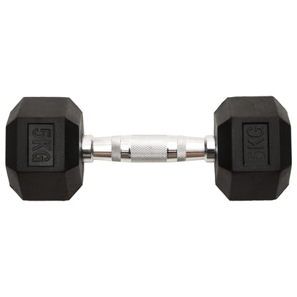 Halters 2 St 10 Kg Gietijzer 2x 5 kg