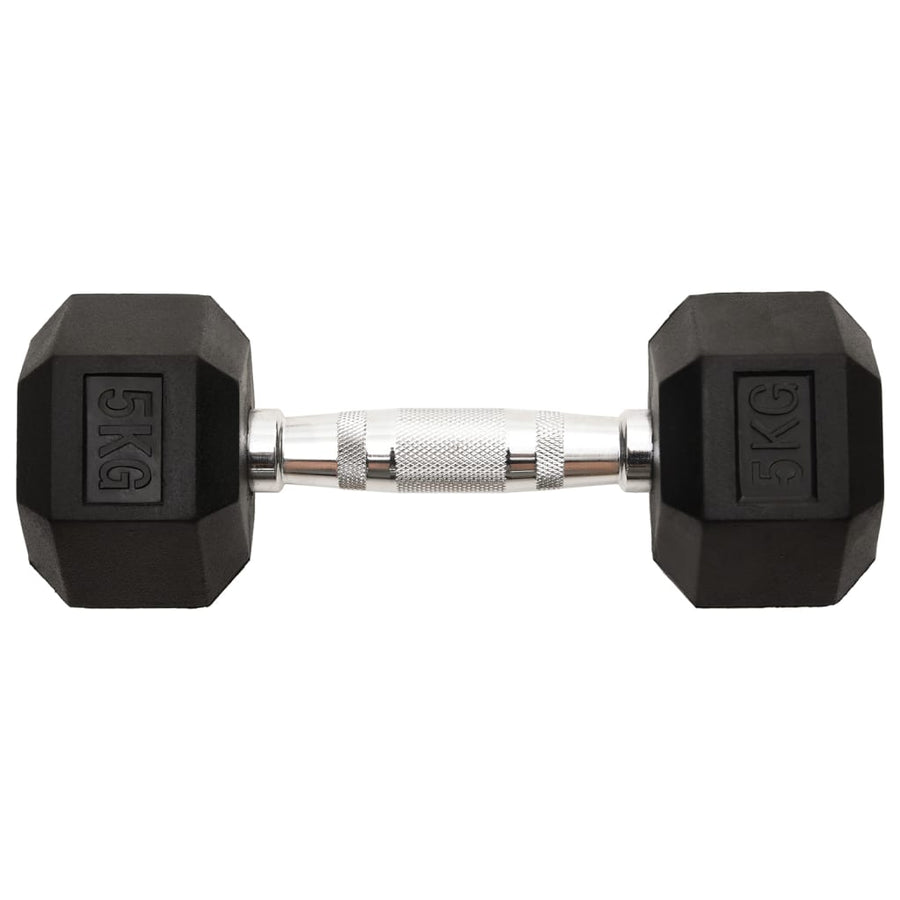 Halters 2 St 10 Kg Gietijzer 2x 5 kg