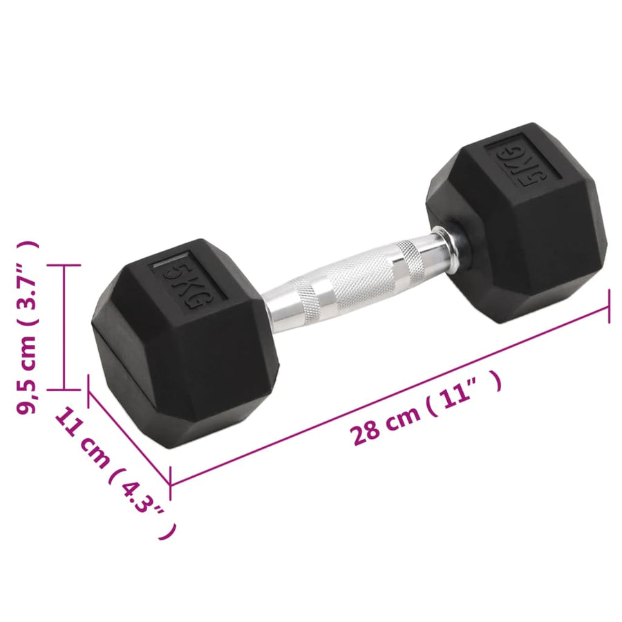 Halters 2 St 10 Kg Gietijzer 2x 5 kg