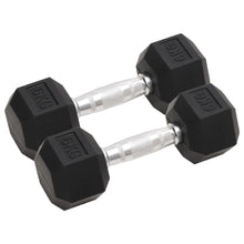 Halters 2 St 12 Kg Gietijzer 2x 6 kg