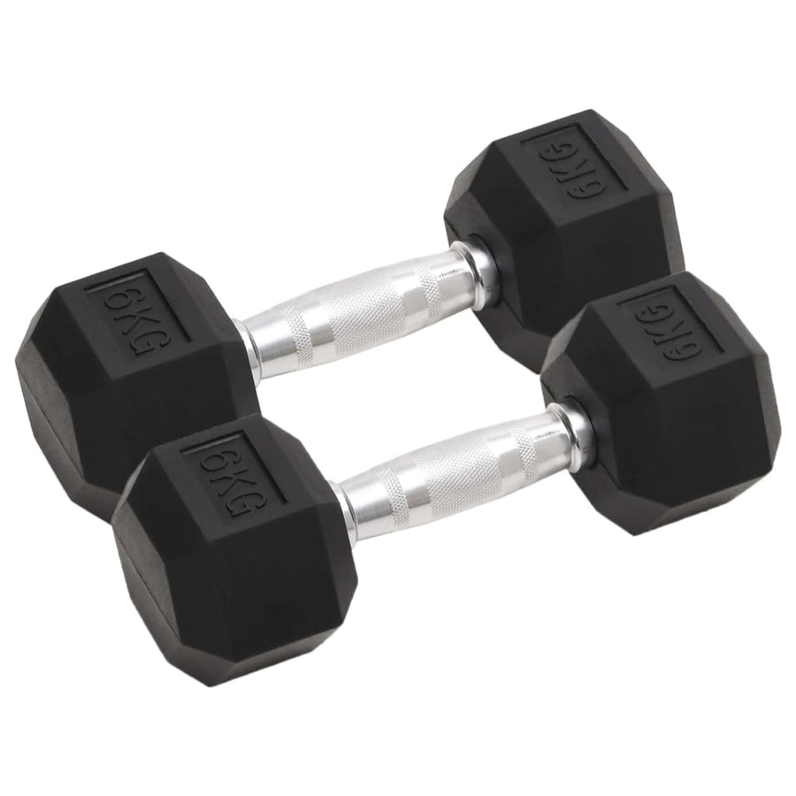 Halters 2 St 12 Kg Gietijzer 2x 6 kg