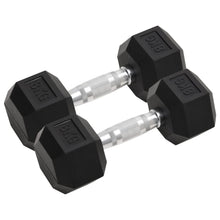 Halters 2 St 16 Kg Gietijzer 2x 8 kg