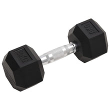 Halters 2 St 16 Kg Gietijzer 2x 8 kg