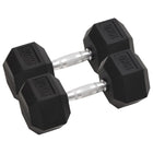 Dumbbells 2 pieces 20 kg total cast iron