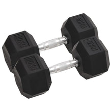 Halters 2 St 20 Kg Gietijzer 1 2x 10 kg