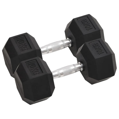 Halters 2 St 20 Kg Gietijzer 1 2x 10 kg