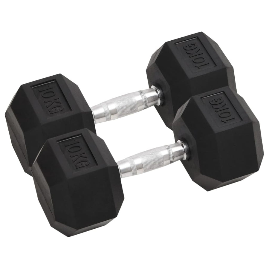 Halters 2 St 20 Kg Gietijzer 1 2x 10 kg
