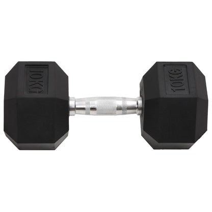 Halters 2 St 20 Kg Gietijzer 1 2x 10 kg