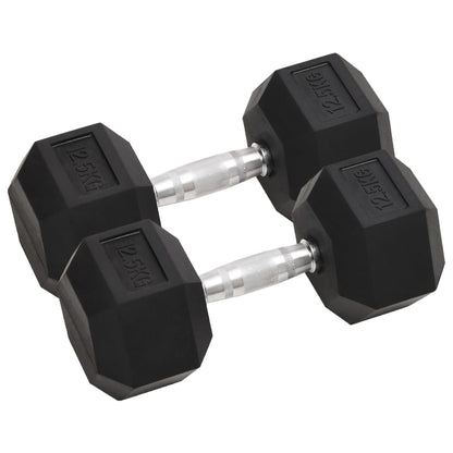 Halters 2 St 25 Kg Gietijzer