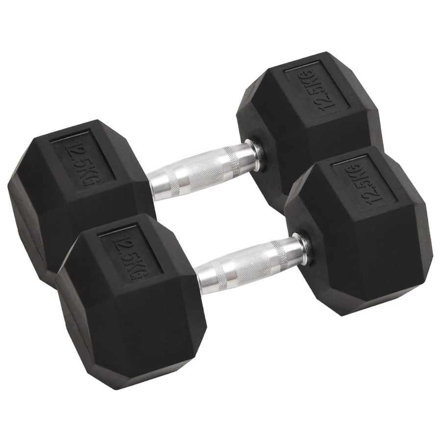 Halters 2 St 25 Kg Gietijzer