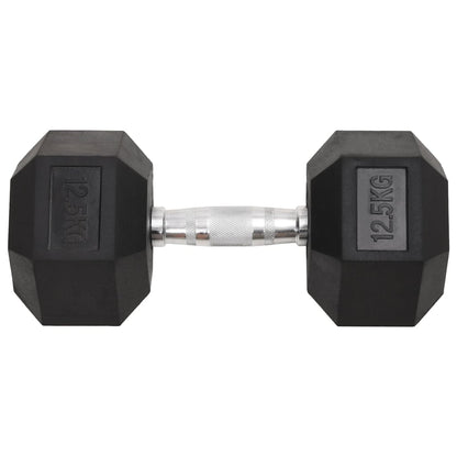 Halters 2 St 25 Kg Gietijzer