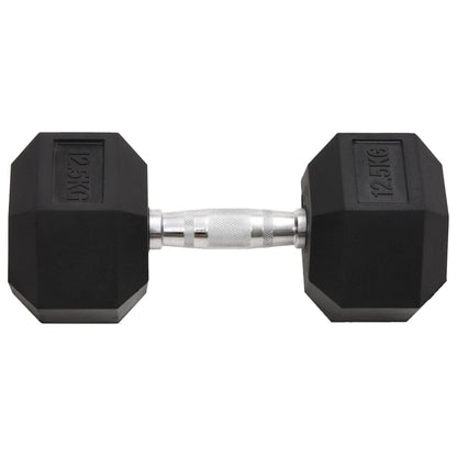 Halters 2 St 25 Kg Gietijzer