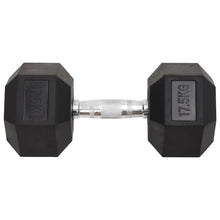 Halters 17,5 Kg Gietijzer 1x 17.5 kg