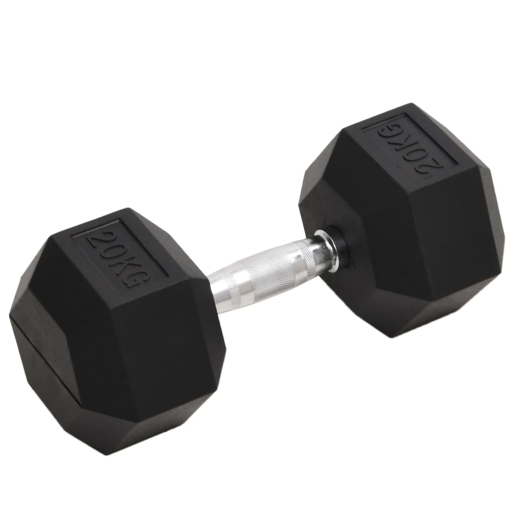 Halters 20 Kg Gietijzer 1x 20 kg