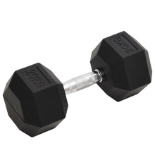 Halters 20 Kg Gietijzer 1x 20 kg
