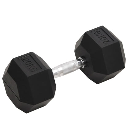 Halters 20 Kg Gietijzer 1x 20 kg