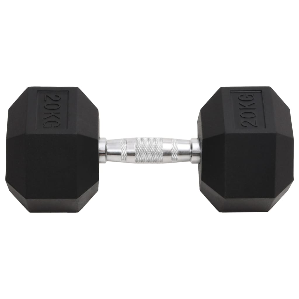 Halters 20 Kg Gietijzer 1x 20 kg