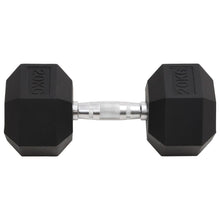 Halters 20 Kg Gietijzer 1x 20 kg