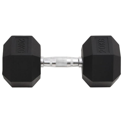 Halters 20 Kg Gietijzer 1x 20 kg