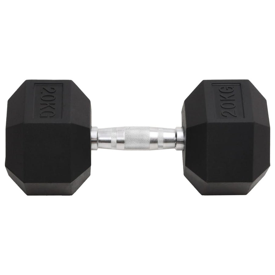 Halters 20 Kg Gietijzer 1x 20 kg