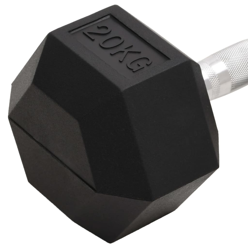 Halters 20 Kg Gietijzer 1x 20 kg