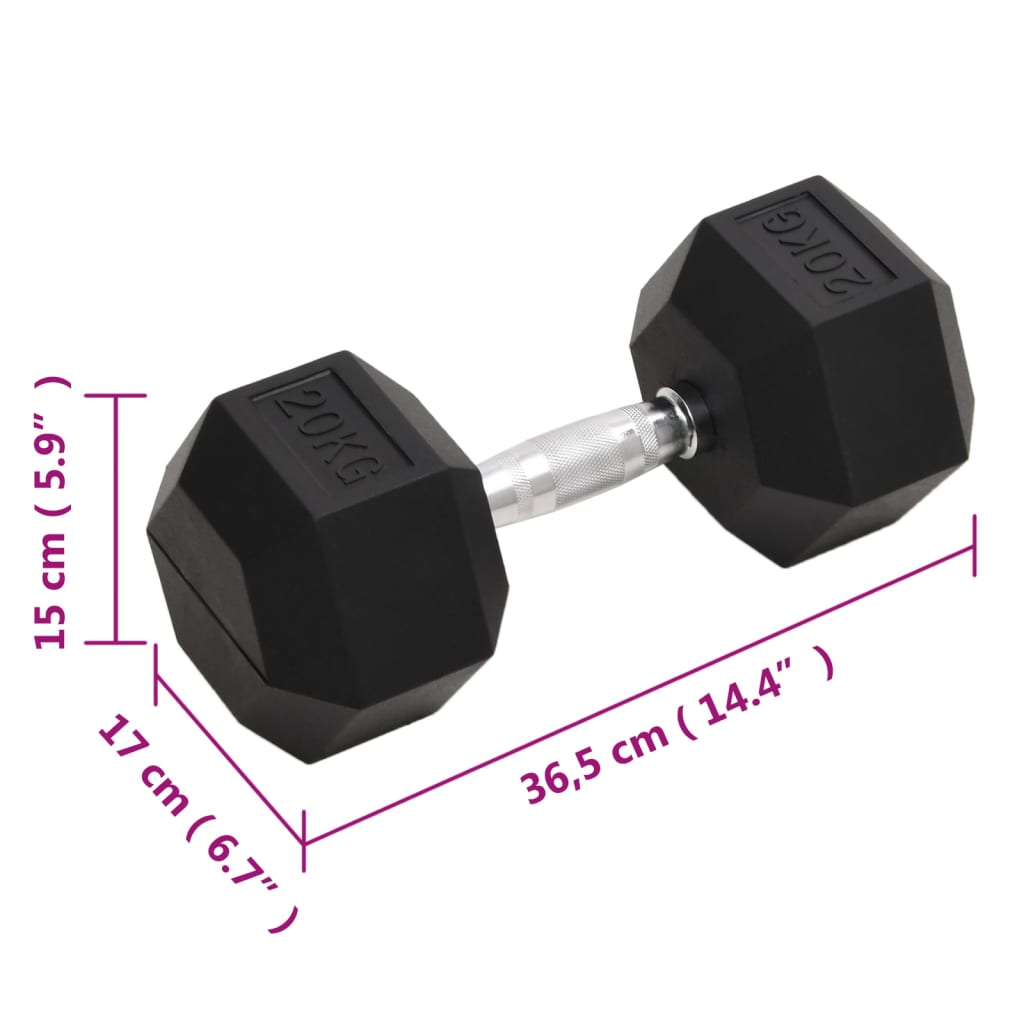 Halters 20 Kg Gietijzer 1x 20 kg