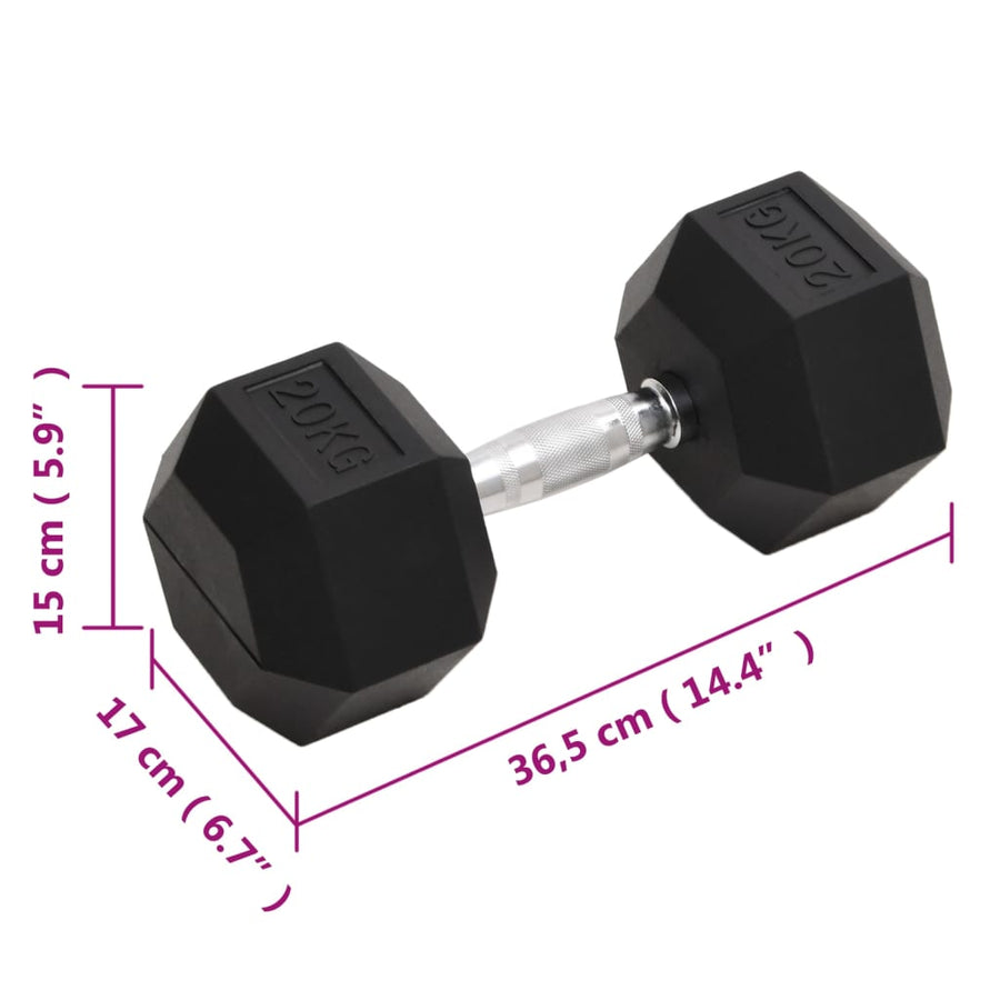Halters 20 Kg Gietijzer 1x 20 kg