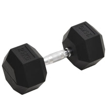 Halters 25 Kg Gietijzer 1x 25 kg
